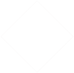Square not filled burgundy 2 Square not filled burgundy 2