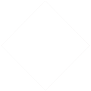 Square not filled burgundy 2 Square not filled burgundy 2